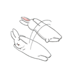 Rabbit with Mask2（個別スタンプ：40）