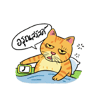 Tong Fat Cat and the Gang（個別スタンプ：1）
