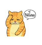 Tong Fat Cat and the Gang（個別スタンプ：5）