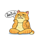 Tong Fat Cat and the Gang（個別スタンプ：9）
