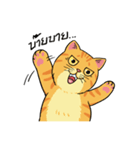 Tong Fat Cat and the Gang（個別スタンプ：10）