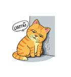 Tong Fat Cat and the Gang（個別スタンプ：13）