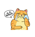 Tong Fat Cat and the Gang（個別スタンプ：14）