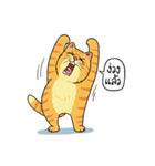 Tong Fat Cat and the Gang（個別スタンプ：17）