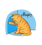 Tong Fat Cat and the Gang（個別スタンプ：19）