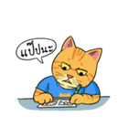 Tong Fat Cat and the Gang（個別スタンプ：23）