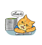 Tong Fat Cat and the Gang（個別スタンプ：24）