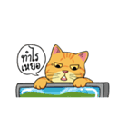 Tong Fat Cat and the Gang（個別スタンプ：28）