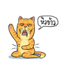 Tong Fat Cat and the Gang（個別スタンプ：33）