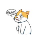 Tong Fat Cat and the Gang（個別スタンプ：35）