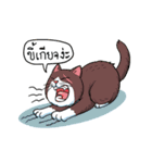 Tong Fat Cat and the Gang（個別スタンプ：37）
