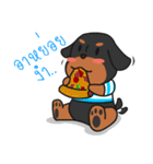 chokie ＆ family (thai)（個別スタンプ：12）