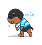 chokie ＆ family (thai)（個別スタンプ：27）