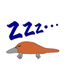 モグラちゃうわ！カモノハシ！（個別スタンプ：3）