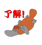 モグラちゃうわ！カモノハシ！（個別スタンプ：12）