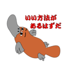 モグラちゃうわ！カモノハシ！（個別スタンプ：20）