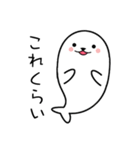 毎日使えるアクティブあざらしのあいさつ♪（個別スタンプ：37）