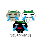 3 soldiers cats（個別スタンプ：5）