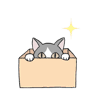 しろくろハチワレねこ（個別スタンプ：4）