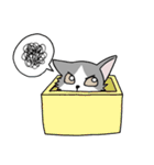 しろくろハチワレねこ（個別スタンプ：24）