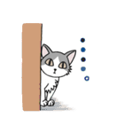 しろくろハチワレねこ（個別スタンプ：37）