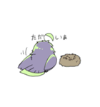 謎の鳥こるるすたんぷ（個別スタンプ：17）