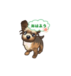 こむぎだワン（犬）（個別スタンプ：10）