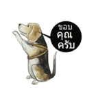 Croissant dog（個別スタンプ：10）