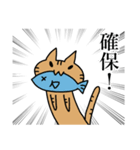 いきおいのあるねこ（個別スタンプ：17）