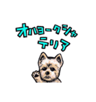 ギャグキング-動物編-（個別スタンプ：11）