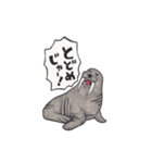 ギャグキング-動物編-（個別スタンプ：34）