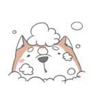 Husky friend（個別スタンプ：9）