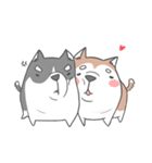 Husky friend（個別スタンプ：11）