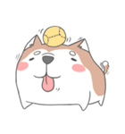 Husky friend（個別スタンプ：31）