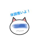 猫ちゃんの顔（個別スタンプ：4）