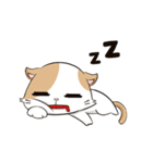 【OTCDP】睡眼貓（個別スタンプ：12）