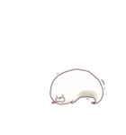 のんびりあざらし（個別スタンプ：11）