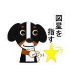 まろいぬ＆もじゃ犬のことわざ・慣用句①（個別スタンプ：38）