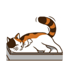 Mi-ke, the Calico Cat 2（個別スタンプ：18）