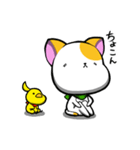 ねこぴよ！！（個別スタンプ：1）