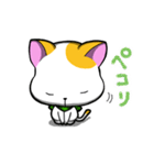 ねこぴよ！！（個別スタンプ：39）