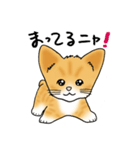 ちゃまめの恩返し（個別スタンプ：31）