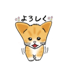 ちゃまめの恩返し（個別スタンプ：33）