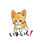 ちゃまめの恩返し（個別スタンプ：39）