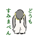 愛すべきペンギンさん（個別スタンプ：3）