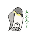 愛すべきペンギンさん（個別スタンプ：12）