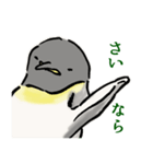 愛すべきペンギンさん（個別スタンプ：17）