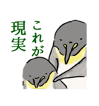 愛すべきペンギンさん（個別スタンプ：34）