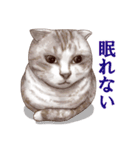 アクロバティックねこ（個別スタンプ：11）