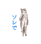 アクロバティックねこ（個別スタンプ：16）